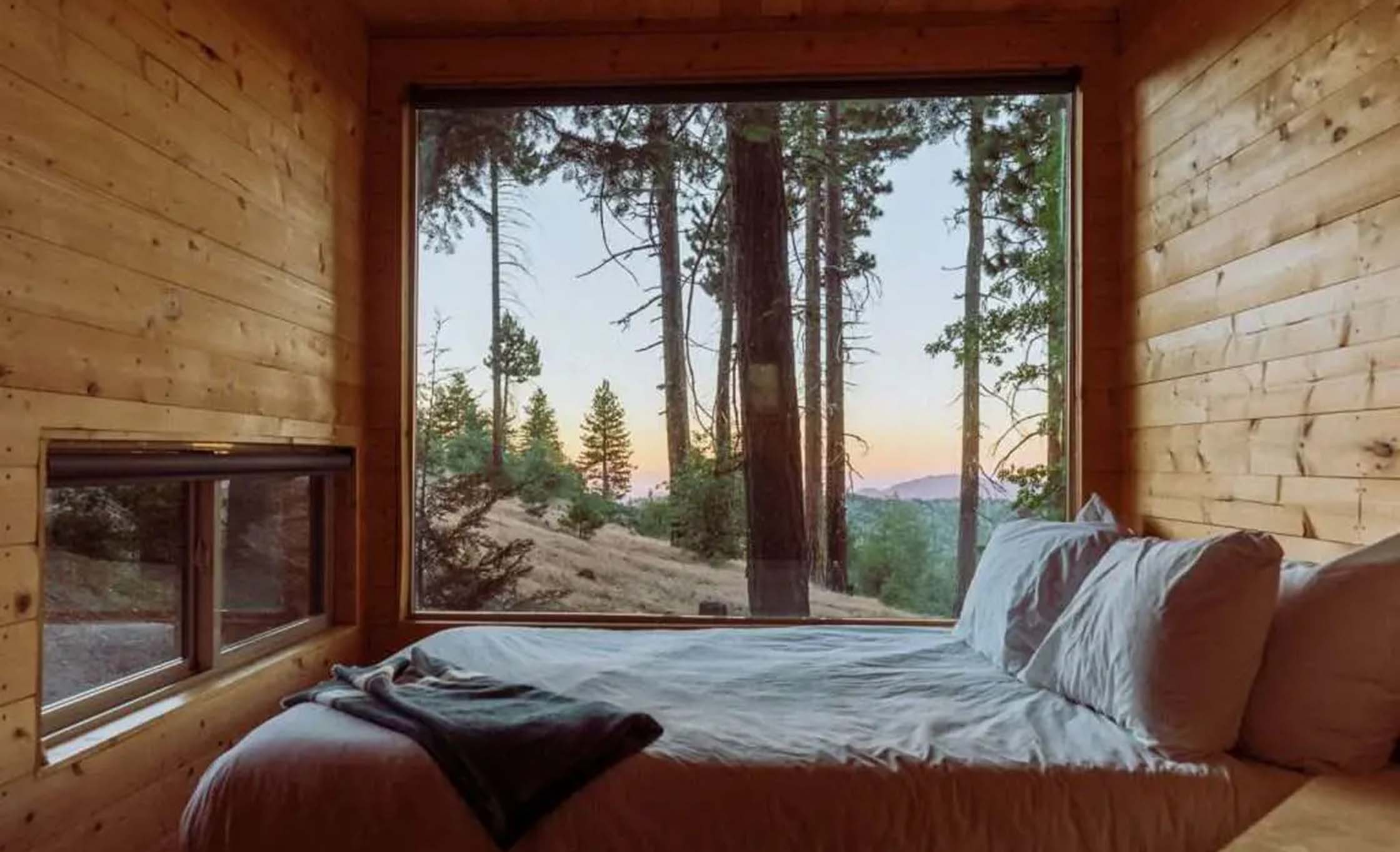 Treehouse Escapes: Elevated Cabins in the Heart of the PNW Forests