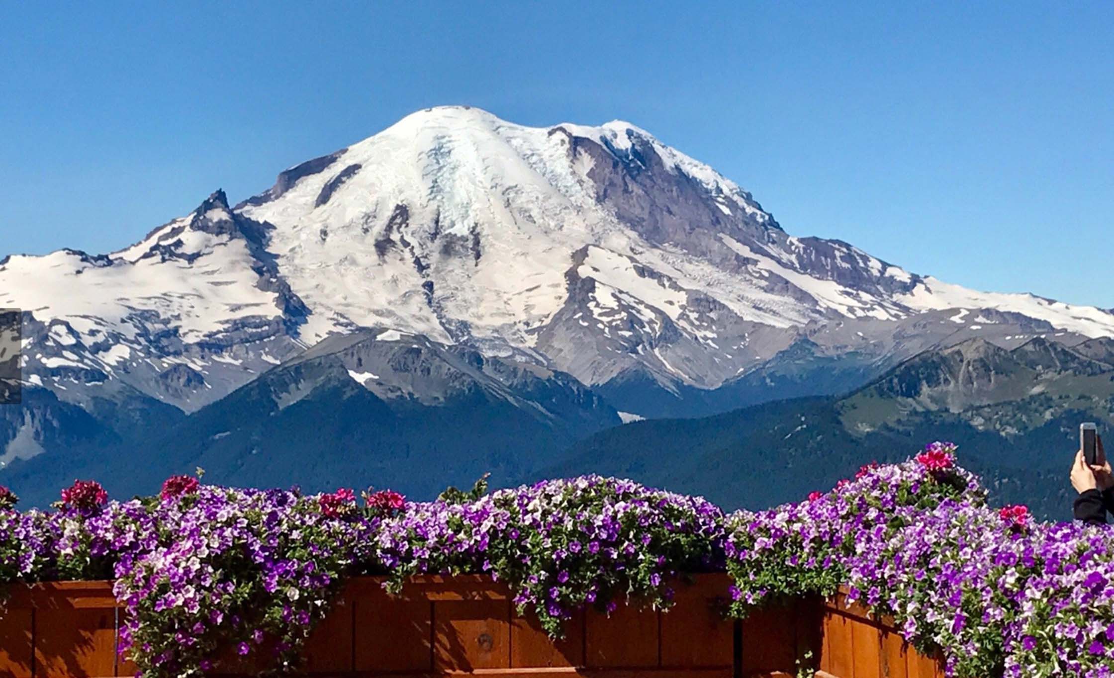 The Perfect Fusion of Scenic Beauty and Culinary Delights: Mount Rainier Dining