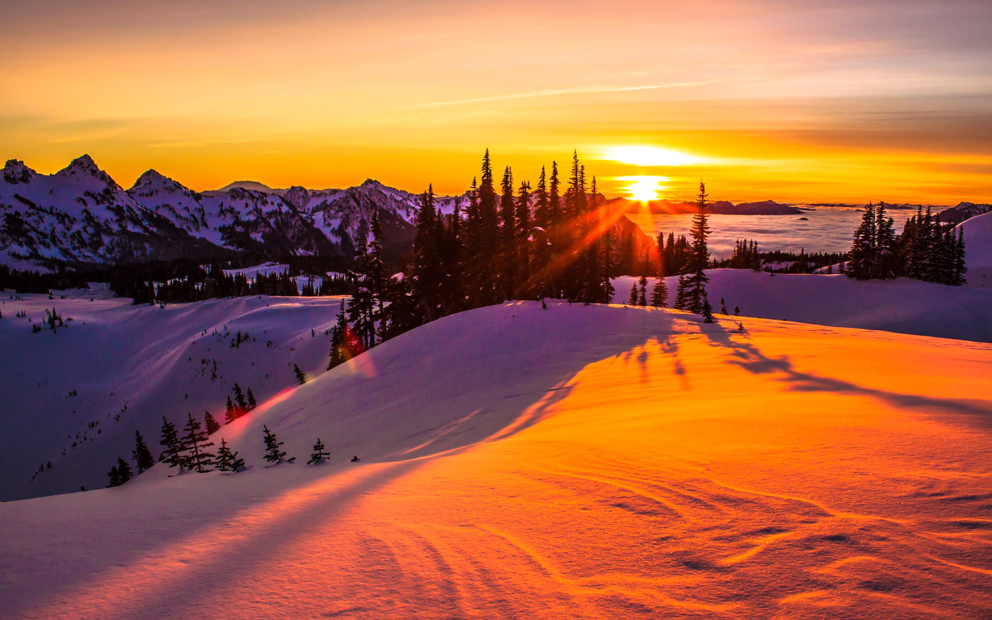 Exploring a Winter Wonderland: Snowshoeing Adventure at Mount Rainier