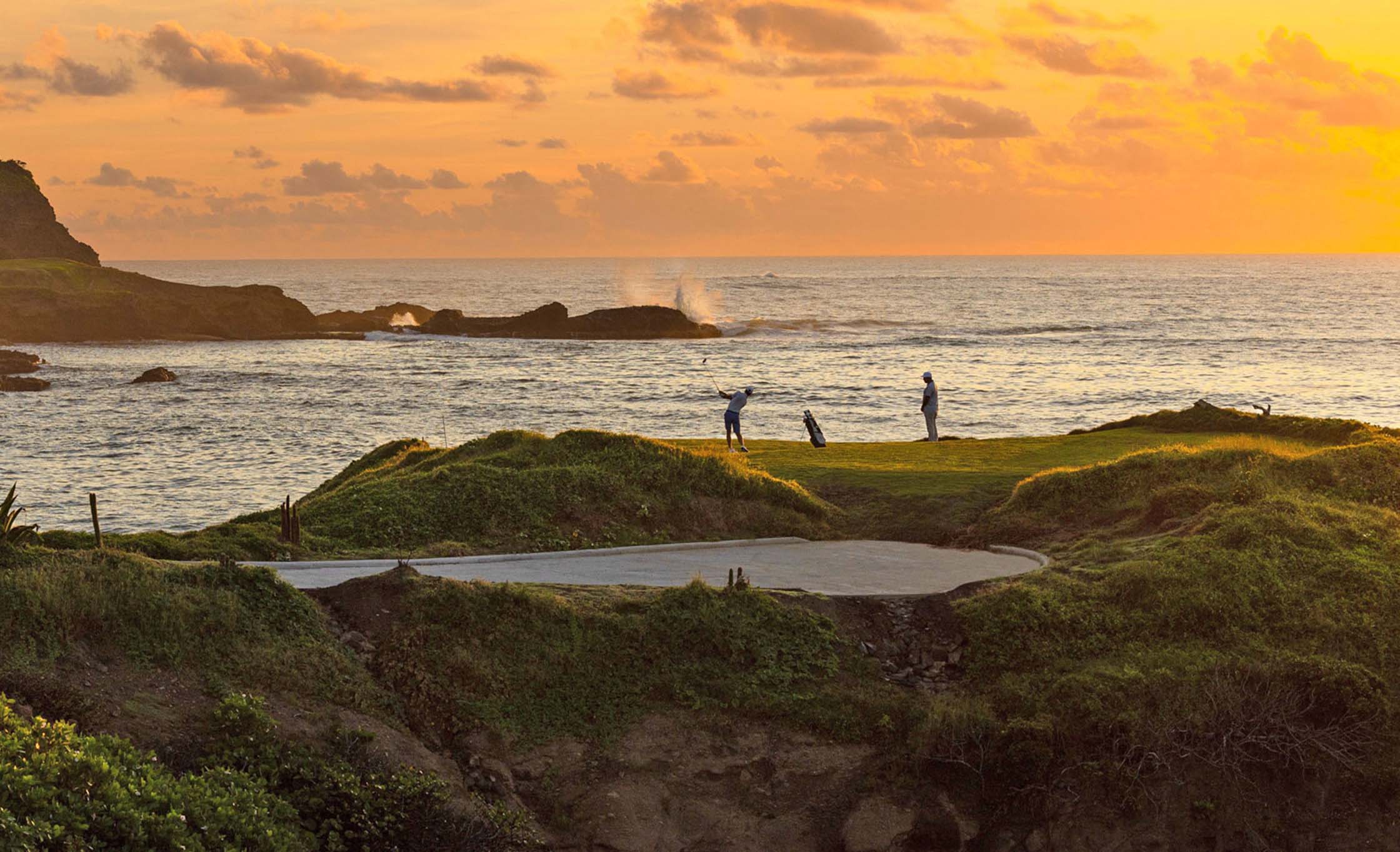 Coastal Forests: Nature’s Sanctuary Unveiled